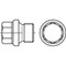 DIN910 Afdichtstop met kraag zeskantkop pijpschroefdraad Roestvaststaal (RVS) A4